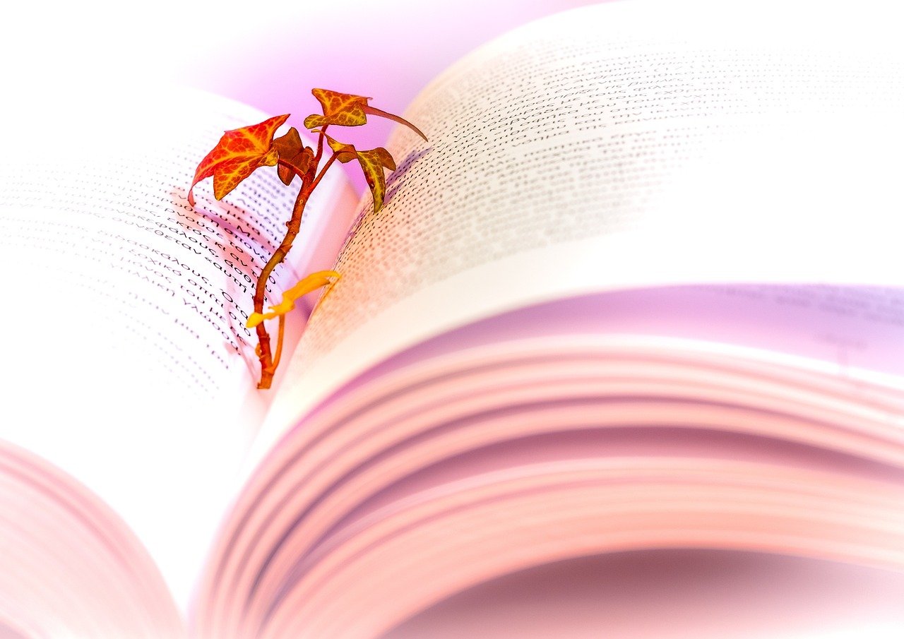 Imagem de Antonios Ntoumas por Pixabay