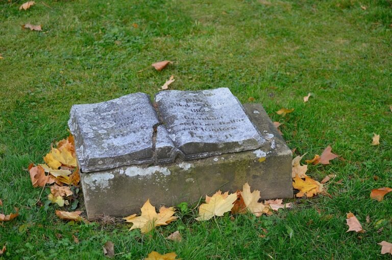 Quando a primeira capa não é aprovada: por que isso acontece (e como transformar em um processo artístico coletivo)