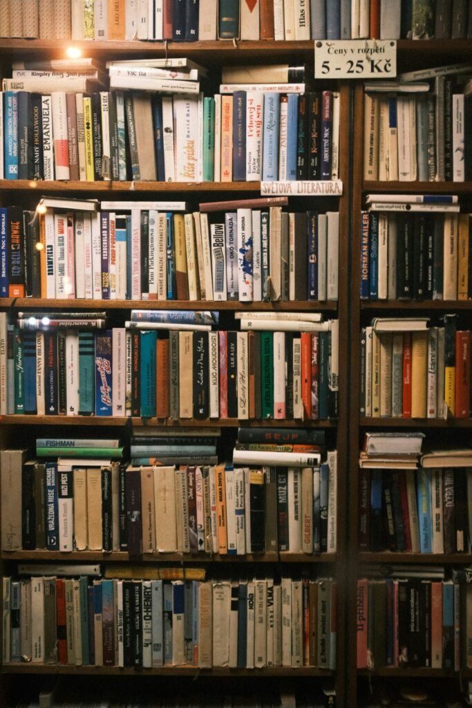 Foto de <a href="https://unsplash.com/pt-br/@rm_reins?utm_source=unsplash&utm_medium=referral&utm_content=creditCopyText">Roman</a> na <a href="https://unsplash.com/pt-br/fotografias/uma-parede-de-estantes-cheias-de-livros--JESnGau8UE?utm_source=unsplash&utm_medium=referral&utm_content=creditCopyText">Unsplash</a>
      