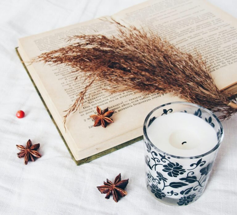 Foto de Stacy na Unsplash