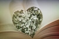 O que uma editora deve oferecer a um autor independente?