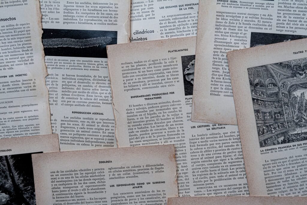 Preparação de Texto: o que é, para que serve e por que seu livro precisa dessa etapa