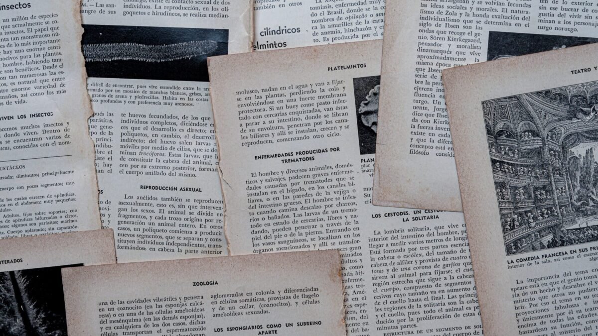 Preparação de texto