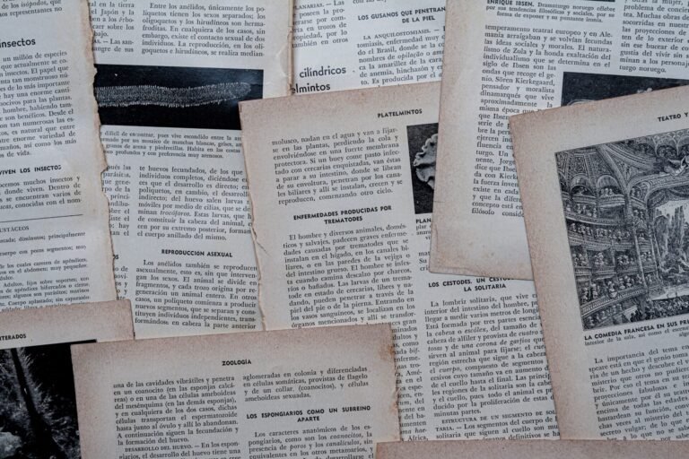 Preparação de Texto: o que é, para que serve e por que seu livro precisa dessa etapa